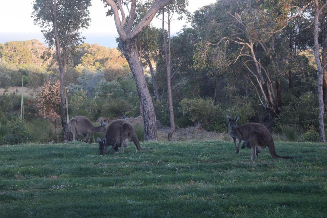 Eagle Bay House Bed and Breakfast Dunsborough Eksteriør billede